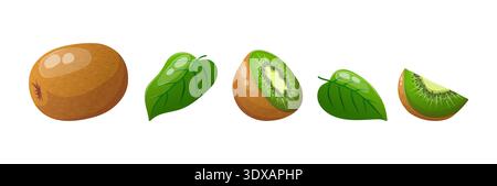 Vector set of sliced kiwis and leaves Stock Vector