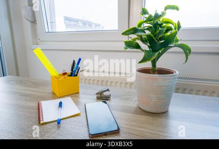 A bright workspace featuring a potted plant, a yellow container with pens, a notepad, and a smartphone on a wooden desk near a window. Stock Photo