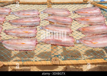 Process of fish fillets drying on mesh rack under tropical sun over sand in Phu Quoc island, Vietnam. Sun drying is traditional seafood preservation Stock Photo