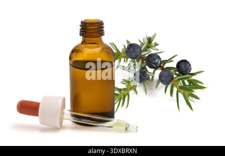 Juniper twig with essential oil dropper isolated on white background Stock Photo