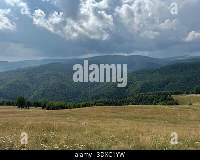 Vast mountain landscape featuring rolling hills covered in dense green coniferous forests under a dramatic, cloud-filled sky. Stock Photo