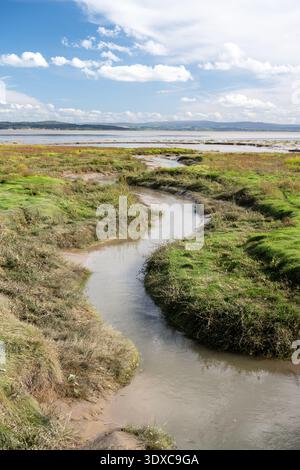 Salt marsh borders the Kent estuary and Morecamble Bay at Grange-over-Sands in Cumbria. Stock Photo
