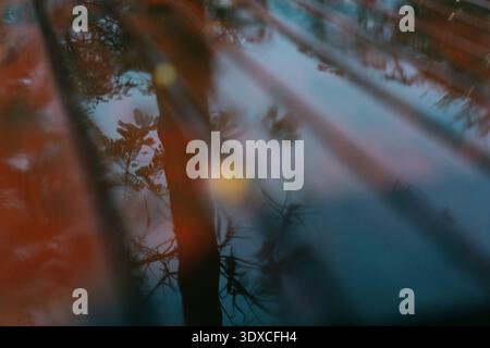 Reflection of trees and sky in wet pavement after rain in Tokyo, Japan with blurred motion effect Stock Photo