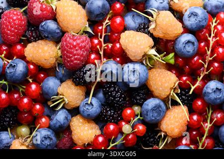 Close up texture of colorful berry assortment. Fresh organic summer fruits, natural food background. Food photography Stock Photo