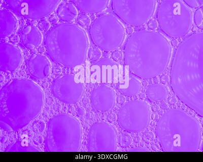 Vibrant purple bubbles float, clustered, overlapping Stock Photo