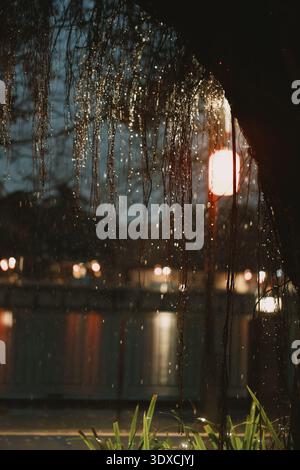 Raindrops on willow branches at night with glowing lanterns and blurred city lights in Kyoto, Japan Stock Photo
