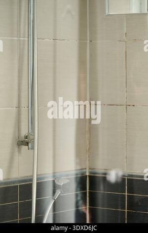View through glass shower door to chrome shower and tiled bathroom Stock Photo