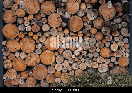 Cross-sections of a tree trunks - stack of firewood logs background. A close-up, full-frame shot of stacked, seasoned firewood logs of varying sizes. Stock Photo
