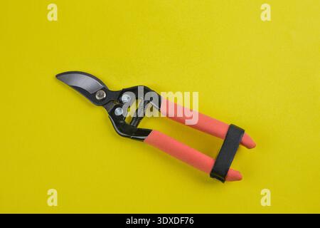 Pruning scissors (Pruning shears, Garden secateurs) with green grip isolated on white background . Stock Photo