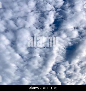 A sky full of clouds. Stock Photo