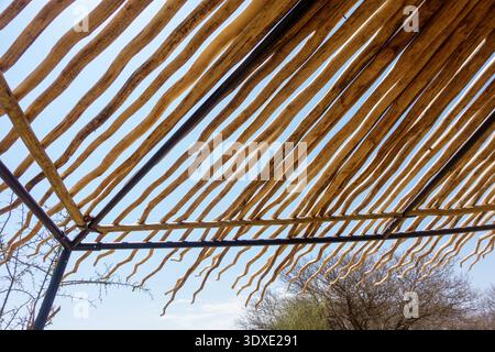 Rood or shade shelter made of wriggly tapered sticks supported overhead creating pattern light and shade. village in Tanzania. Stock Photo