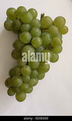 Fresh Green Seedless Table Grape Bunch Isolated on a White Background Stock Photo