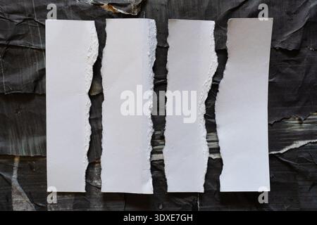 Four Vertical Columns of White Torn Paper on Black Grunge Background Stock Photo