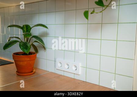 Interior close-up showing a kitchen counter with a decorative houseplant in a clay pot and a triple power outlet installed on a white tiled wall with green grout Stock Photo