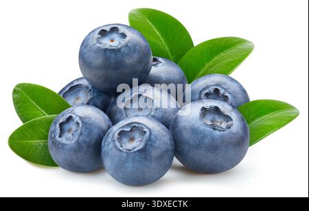 Blueberry isolated on white background. Ripe fresh blueberry Clipping Path. Blueberry with leaf Stock Photo