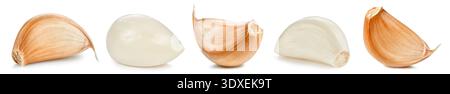 Garlic bulb. Fresh organic garlic isolated on white background. Garlic bulb with clipping path Stock Photo