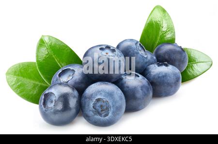 Blueberry. Blueberry with leaves isolated on white background. Blueberry clipping path. Stock Photo