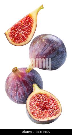 Flying in air fig. Fresh organic fig isolated clipping path. Fig macro studio photo. Stock Photo