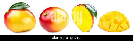Mango with slice on white background. Mango collection isolate. Full depth of field. With clipping path. Stock Photo