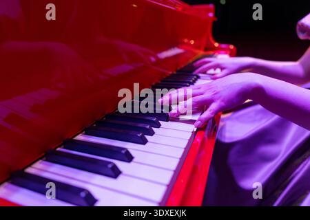 Female fingers resting or playing on grand piano keys in the darkness, illuminated softly by ambient light. Stock Photo