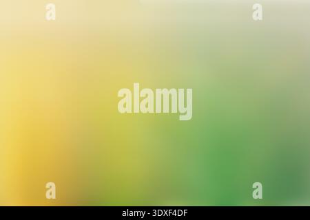 Yellow green gradient soft blurred background texture Stock Photo