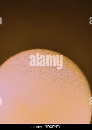 A high-detail macro shot of a frosted glass bulb emitting a soft amber glow against a dark void. The image features a clean arc and subtle surface dus Stock Photo