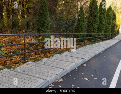 A stone-paved staircase with a metal handrail runs alongside an asphalt road. The scene is set in a park during autumn, with colorful fallen leaves an Stock Photo