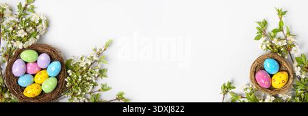 Easter colored painted eggs in bird nests and blooming spring cherry branches on gray background with space for text and greetings. Easter and spring Stock Photo