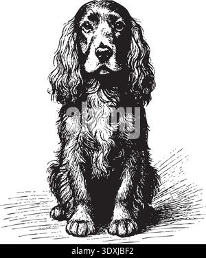 Vintage‑style ink illustration of a spaniel created with dense hachure strokes. Stock Vector