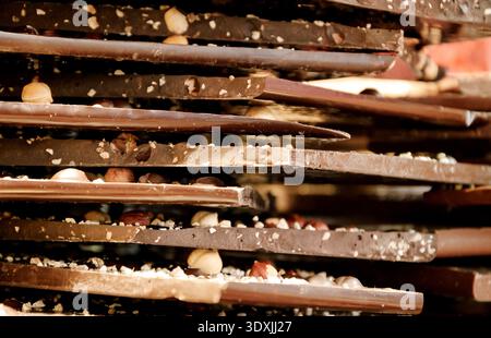 Dark chocolate with hazelnuts . Stock Photo