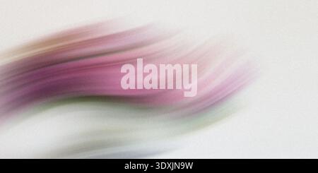 Abstract blurry image featuring a blend of pink and white colors creating a soft and dreamy effect Stock Photo