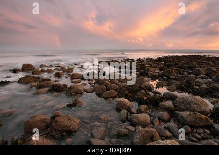Rocky shoreline with seaweed-covered boulders and tidal pools at sunset along the Glamorgan Heritage Coast, Wales. Stock Photo