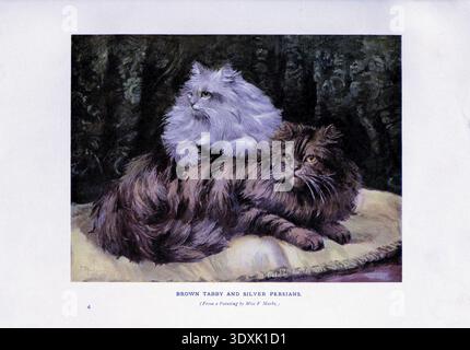 A vintage illustration depicts two long-haired Persian cats, one a brown tabby and the other a silver shade, resting peacefully together on a soft cushion Stock Photo