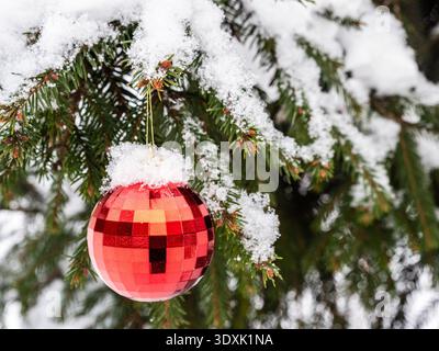 red christmas ball close up on twig of fir-tree in city park outdoors on winter day Stock Photo