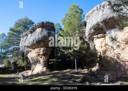 Two mushroom-shaped limestone hoodoos in an open area of La Ciudad Encantada, Cuenca province, Castilla-La Mancha, Spain. Stock Photo