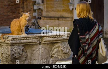 Blonde tourist meets a ginger cat perched on a carved stone wellhead, Venice, Italy Stock Photo