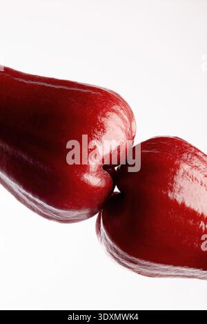Macro Close Up of Two Ripe Wax Apples Touching on White Background Stock Photo