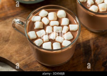 Sweet Organic Hot Cocoa Chocolate with Marshmallows in a Mug Stock Photo