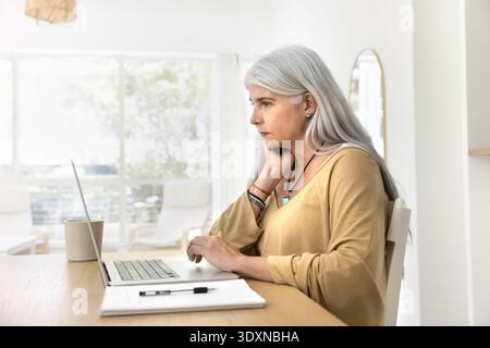 Serious mature woman learn new software or program using laptop Stock Photo