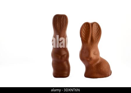 Two chocolate bunnies standing on white background for easter Stock Photo