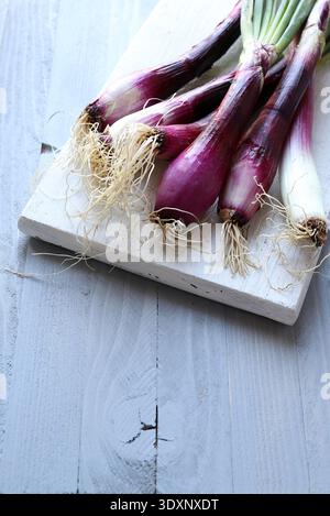 Fresh spring onions. A bunch of fresh Tropea red onions on a white cutting board, gray wooden background. Healthy, vegetarian food. Stock Photo