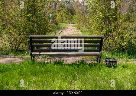 Old wooden bench located on a gravel path in a sunny spring park with green foliage. Concept of quiet rest, outdoor garden seating, and peaceful medit Stock Photo