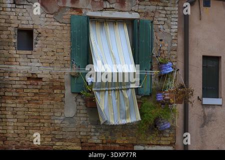 Window with flowers and curtain of a residential building in the old town, Venice, Veneto, Italy Stock Photo