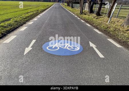 Large marking on narrow district road country road in rural area painted symbol for road signs 244.1-40 beginning end of a bicycle road, next to it di Stock Photo