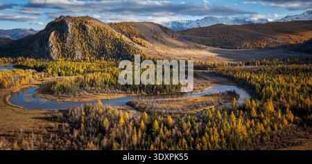 Aerial panorama view of winding river through golden larch forest, mountain range in background, late autumn light, peaceful remote landscape. Stock Photo