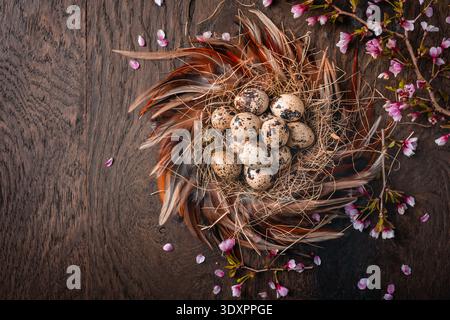 Rustic Easter Eggs in Nest on Dark Background Stock Photo