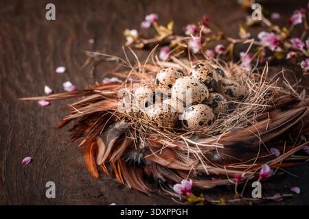 Rustic Easter Eggs in Nest on Dark Background Stock Photo
