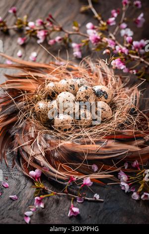 Rustic Easter Eggs in Nest on Dark Background Stock Photo