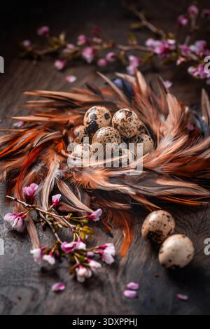 Rustic Easter Eggs in Nest on Dark Background Stock Photo