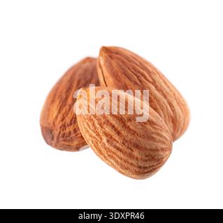 Almond nut isolated on white background. Brown almond nuts. Clipping path. Stock Photo